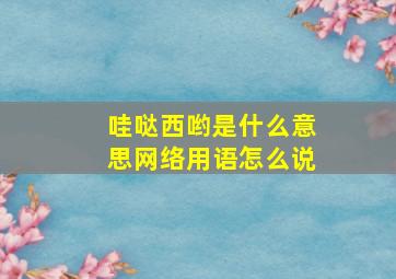 哇哒西哟是什么意思网络用语怎么说