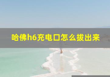 哈佛h6充电口怎么拔出来