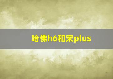 哈佛h6和宋plus