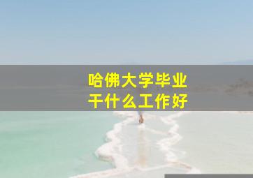 哈佛大学毕业干什么工作好