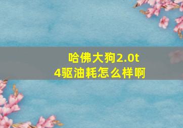 哈佛大狗2.0t4驱油耗怎么样啊