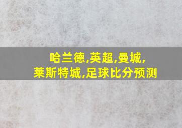 哈兰德,英超,曼城,莱斯特城,足球比分预测