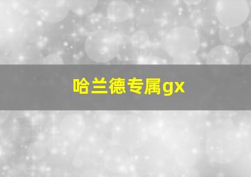 哈兰德专属gx