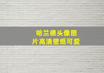 哈兰德头像图片高清壁纸可爱