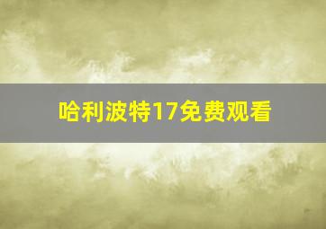 哈利波特17免费观看