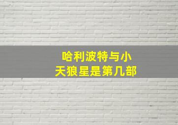 哈利波特与小天狼星是第几部