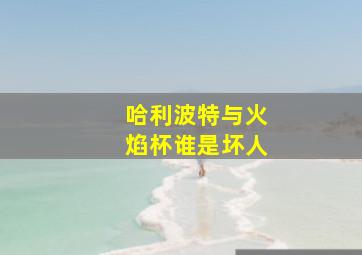 哈利波特与火焰杯谁是坏人