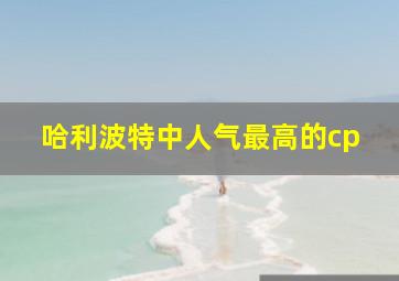 哈利波特中人气最高的cp