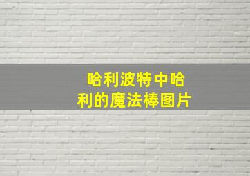 哈利波特中哈利的魔法棒图片