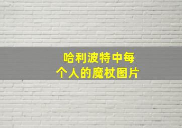 哈利波特中每个人的魔杖图片