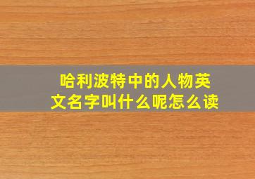 哈利波特中的人物英文名字叫什么呢怎么读