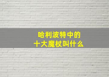 哈利波特中的十大魔杖叫什么