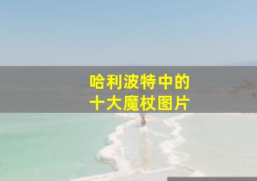 哈利波特中的十大魔杖图片