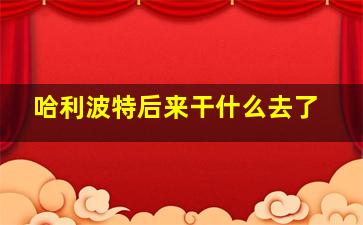 哈利波特后来干什么去了