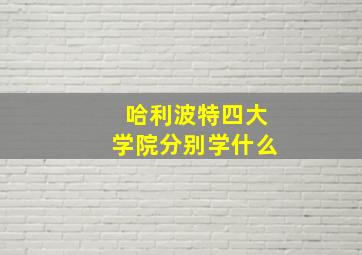 哈利波特四大学院分别学什么