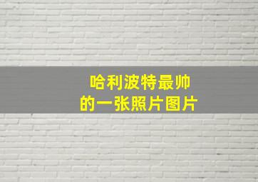 哈利波特最帅的一张照片图片