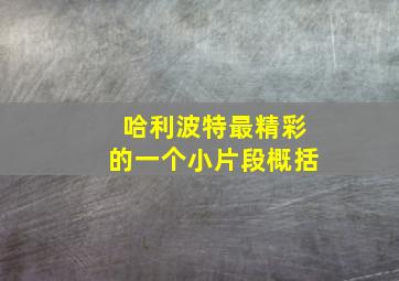 哈利波特最精彩的一个小片段概括