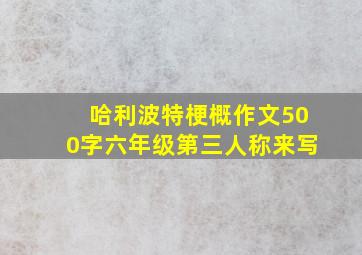 哈利波特梗概作文500字六年级第三人称来写