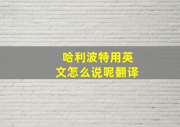 哈利波特用英文怎么说呢翻译