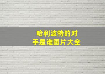 哈利波特的对手是谁图片大全