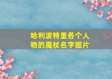 哈利波特里各个人物的魔杖名字图片