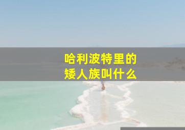 哈利波特里的矮人族叫什么