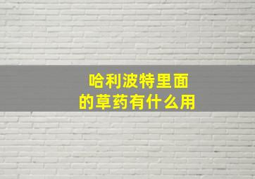 哈利波特里面的草药有什么用