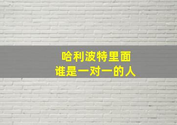 哈利波特里面谁是一对一的人