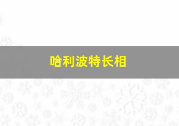 哈利波特长相