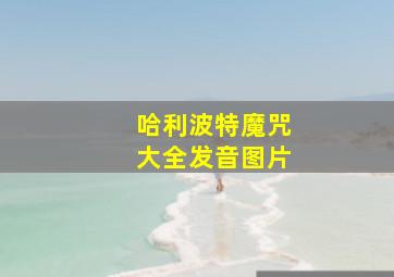 哈利波特魔咒大全发音图片