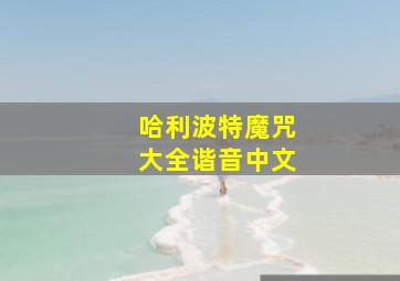 哈利波特魔咒大全谐音中文