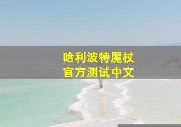 哈利波特魔杖官方测试中文