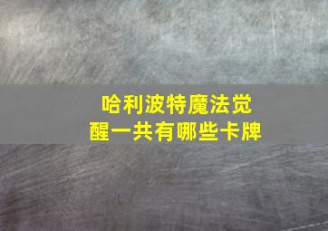 哈利波特魔法觉醒一共有哪些卡牌