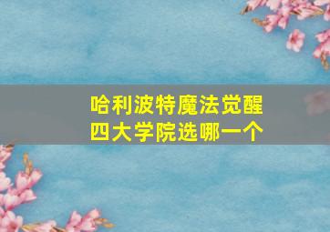 哈利波特魔法觉醒四大学院选哪一个