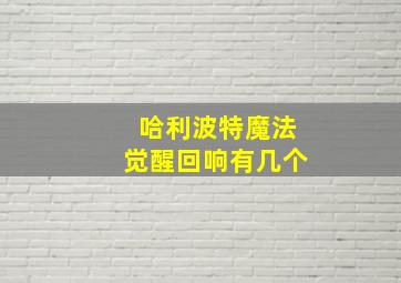 哈利波特魔法觉醒回响有几个