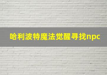 哈利波特魔法觉醒寻找npc