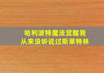 哈利波特魔法觉醒我从来没听说过斯莱特林