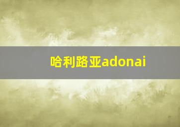 哈利路亚adonai