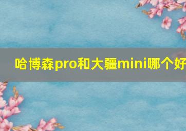 哈博森pro和大疆mini哪个好