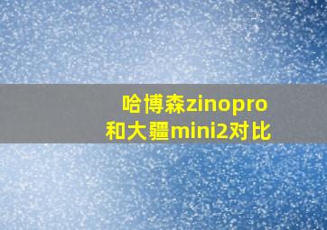 哈博森zinopro和大疆mini2对比