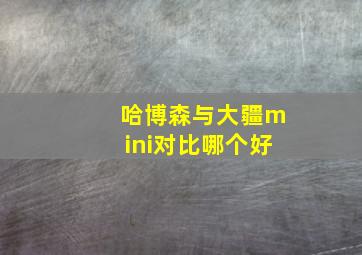 哈博森与大疆mini对比哪个好