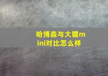 哈博森与大疆mini对比怎么样