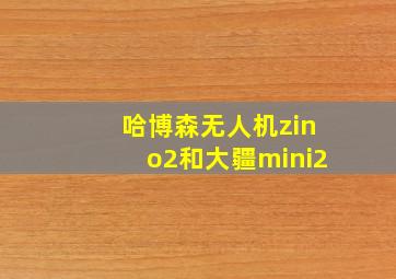 哈博森无人机zino2和大疆mini2