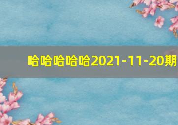 哈哈哈哈哈2021-11-20期