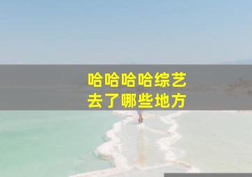 哈哈哈哈综艺去了哪些地方