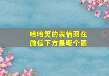 哈哈笑的表情图在微信下方是哪个图