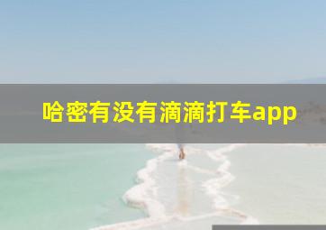 哈密有没有滴滴打车app