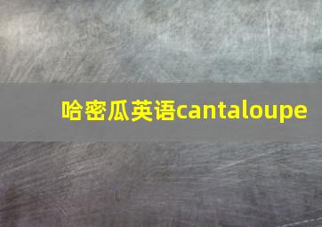 哈密瓜英语cantaloupe