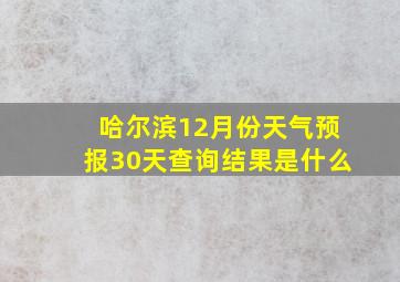 哈尔滨12月份天气预报30天查询结果是什么