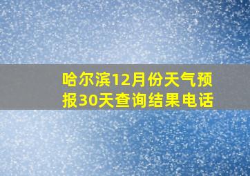 哈尔滨12月份天气预报30天查询结果电话